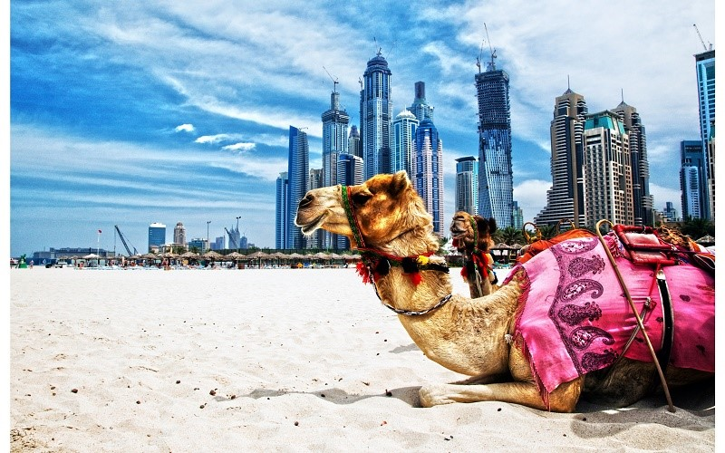 Tháng 11 đến tháng 3 là mùa du lịch tốt nhất khi đến Dubai.
