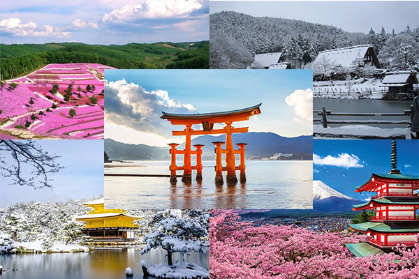 Mùa xuân và mùa thu là thời điểm thích hợp nhất để thăm Nhật Bản.