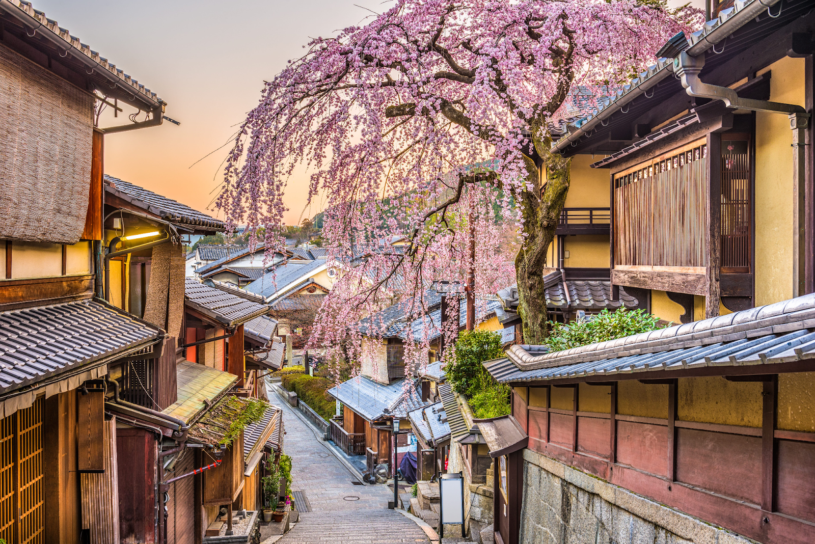 Một góc con phố cổ Kyoto.