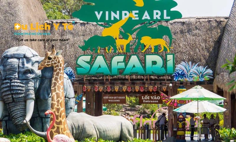 Khu du lịch Safari Vinpearl nơi bạn có thể trải nghiệm gặp gỡ và khám phá động vật hoang dã các tour du lịch
